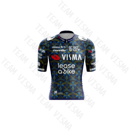 TEAM VISMA